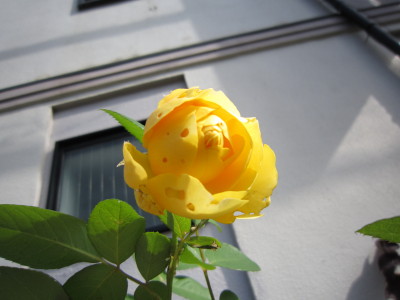 c0202870_75516.jpg