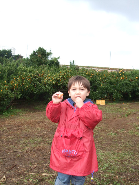 e0123680_21433842.jpg