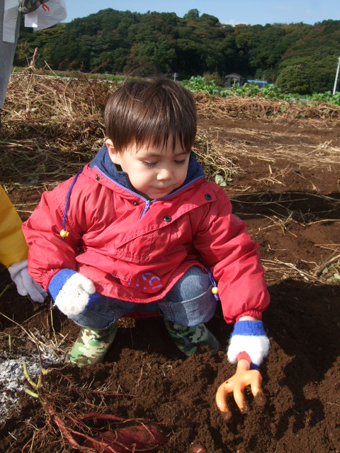 e0123680_21442670.jpg
