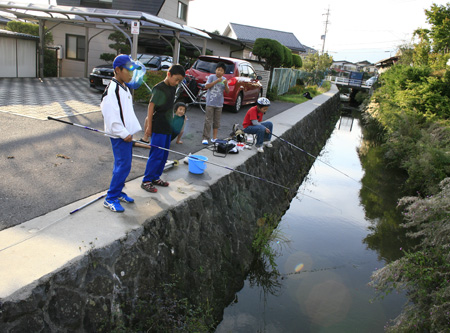 わが家の裏が賑やかい_c0152883_20552282.jpg