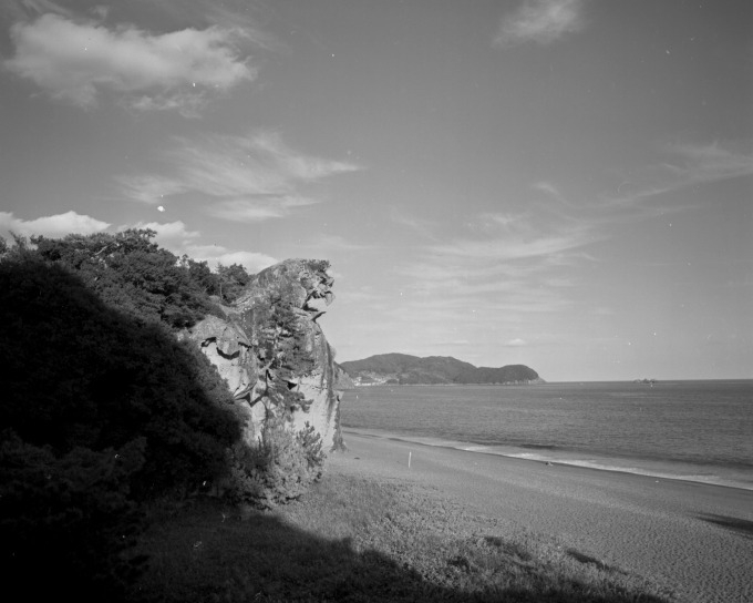 d0045383_91031.jpg