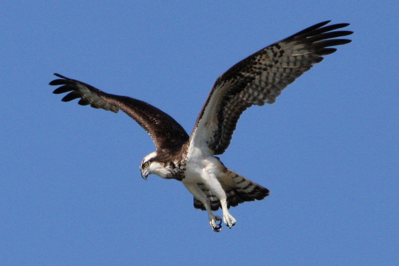 d0050693_1037585.jpg