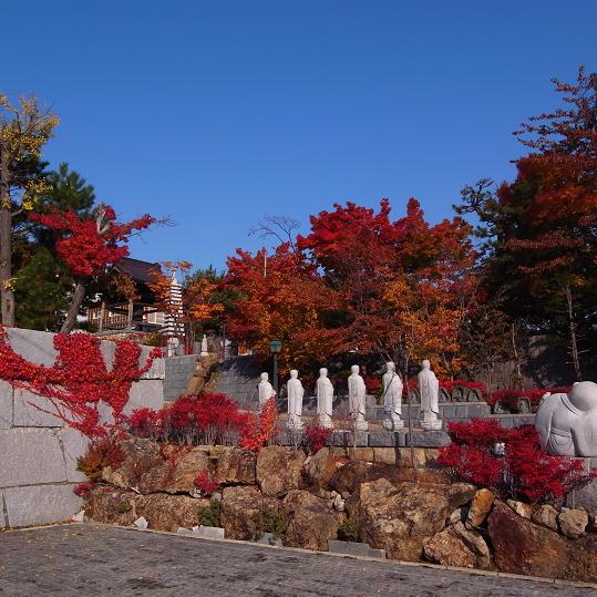 正法寺の紅葉・・・_a0100204_16401442.jpg