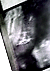 e0103408_7512041.gif