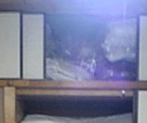 e0103408_811994.gif