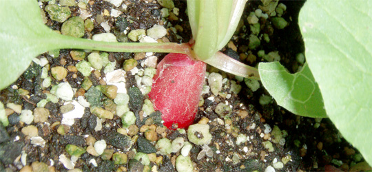 c0192710_14104931.jpg