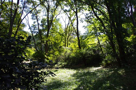 f0233410_1628135.jpg