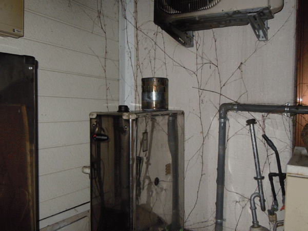 b0159611_316368.gif