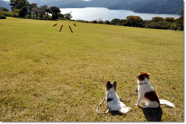 箱根オフ会♪_c0065512_9133937.jpg