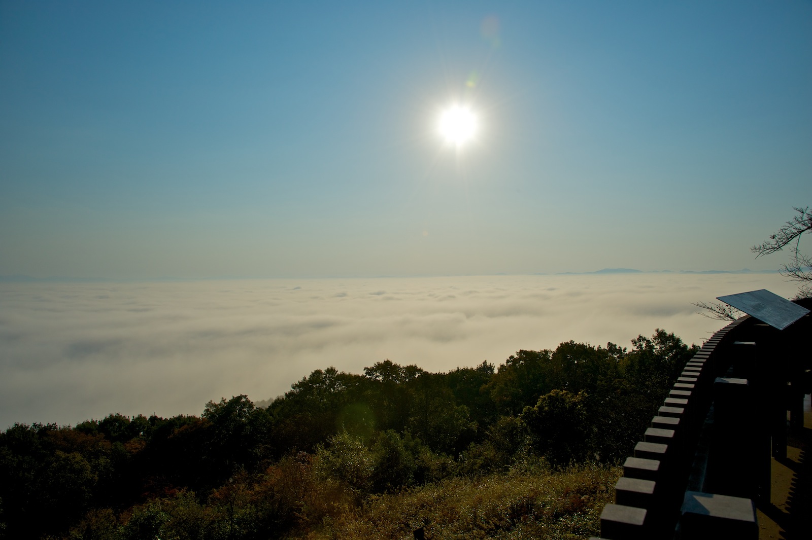 f0231512_2240242.jpg