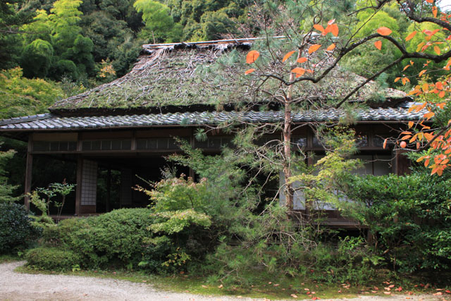 嵯峨野 滝口寺_e0048413_19243381.jpg