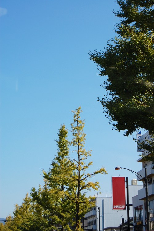 快晴_f0150413_17223896.jpg