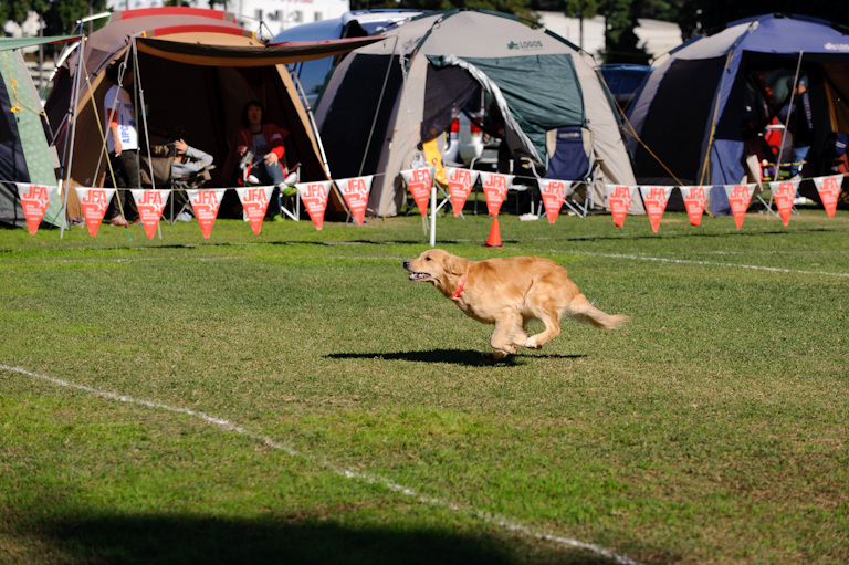 CALLENGE CUP 2010 IN　つくば　写真集_e0204314_14351522.jpg