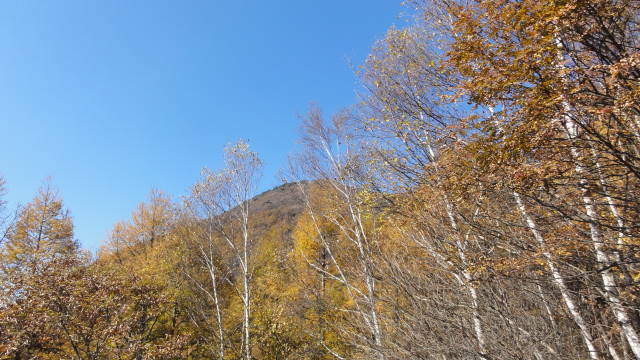 f0233414_20454571.jpg