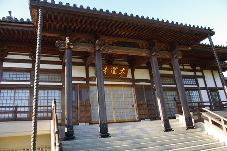 a0030217_5341153.jpg