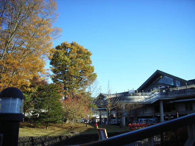 e0177824_16203968.jpg