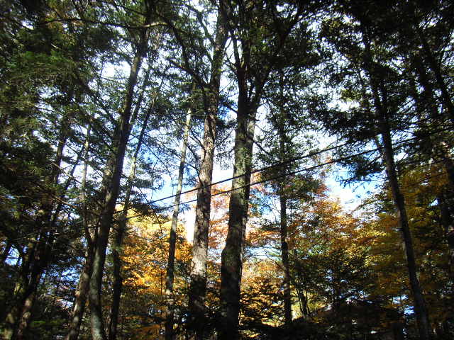 e0177824_23102796.jpg