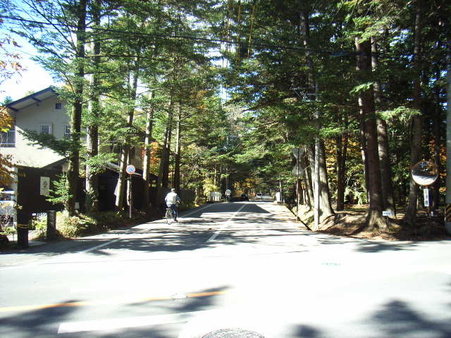 e0177824_2392772.jpg