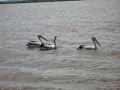 f0053026_14142316.jpg