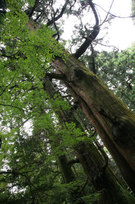 f0017530_205535.jpg
