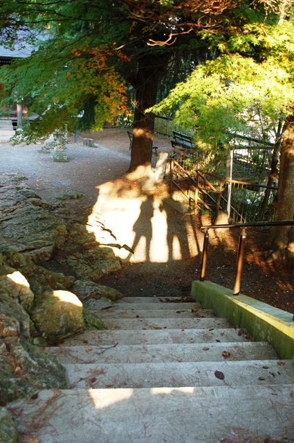 e0206031_20373673.jpg