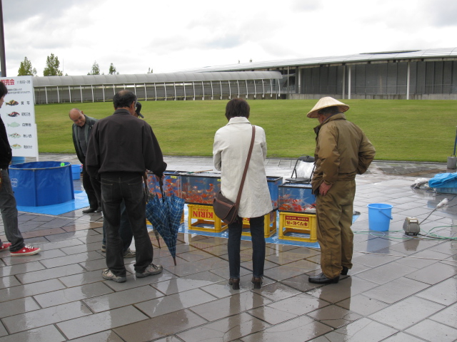 f0214235_20111590.jpg