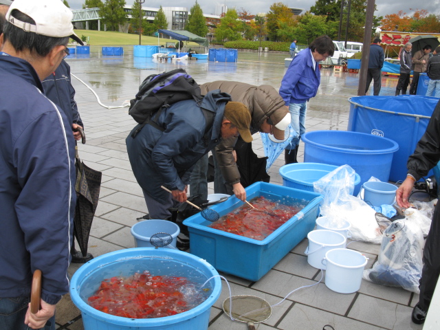 f0214235_21374045.jpg