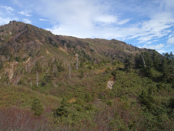 f0182938_0152523.jpg