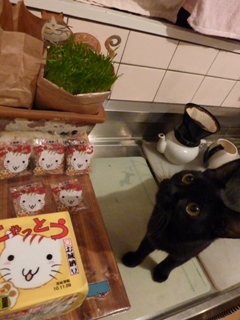 にゃっとう猫 ろった編。_a0143140_2173025.jpg