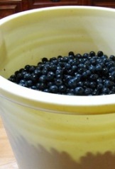 c0204740_1112555.jpg