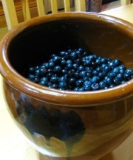 c0204740_1115293.jpg