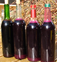 c0204740_1236919.jpg