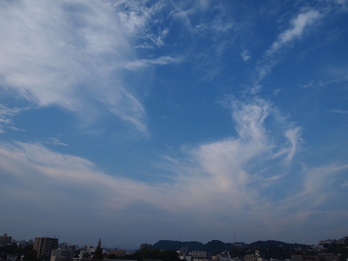 a0146442_8362091.jpg