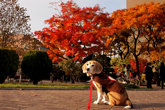 a0042044_1811568.jpg