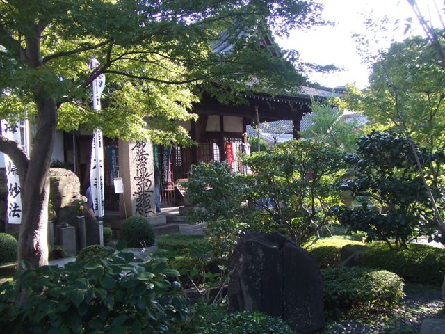 Gatsuzoji Temple has a beautiful garden_e0046748_2019394.jpg