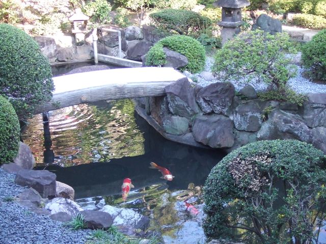 Gatsuzoji Temple has a beautiful garden_e0046748_20195583.jpg