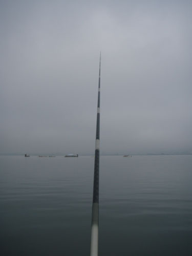 e0201348_2050176.jpg