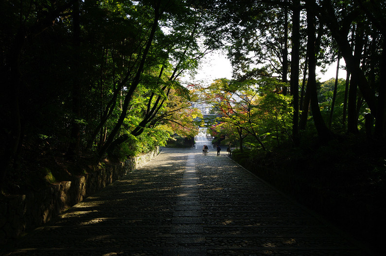 f0152550_21341922.jpg