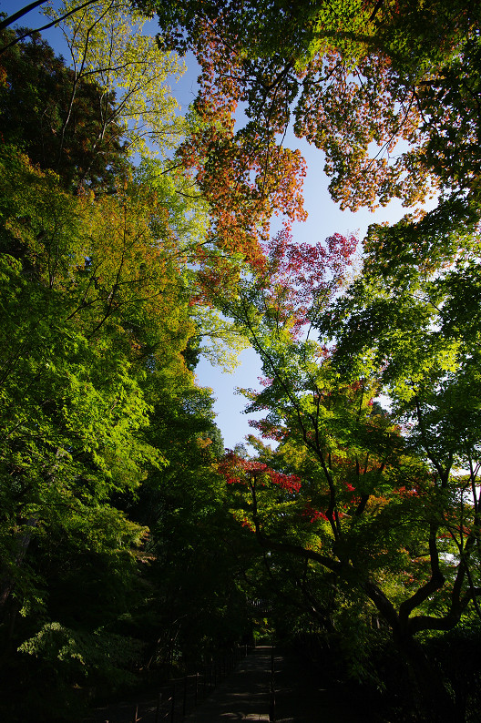 f0152550_21365351.jpg