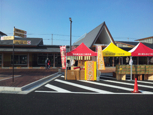 f0229250_18172528.gif