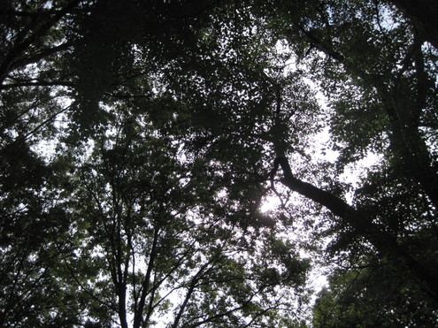 a0162251_17485810.jpg