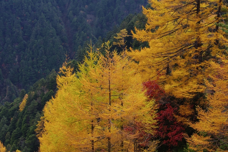 快晴の燕岳　登山_c0056957_291583.jpg