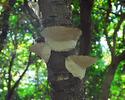e0035757_23222028.jpg