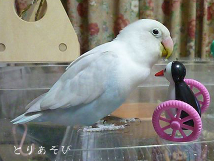 いろいろと雑感_e0147757_235121.jpg