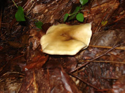 d0059661_1813657.jpg
