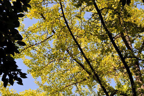 e0125762_16513257.jpg