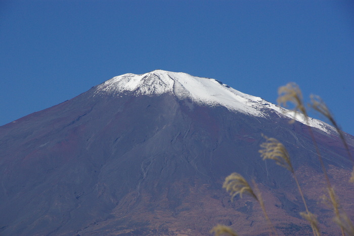 東富士五湖道路須走の富士山 Mt. Fuji-5 Nov. \'10_e0140365_2243813.jpg