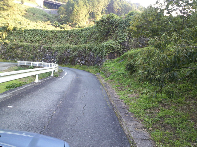 c0001670_16422414.jpg