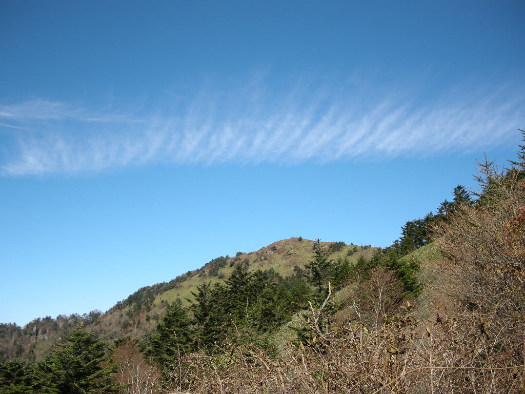 b0185573_13269.jpg