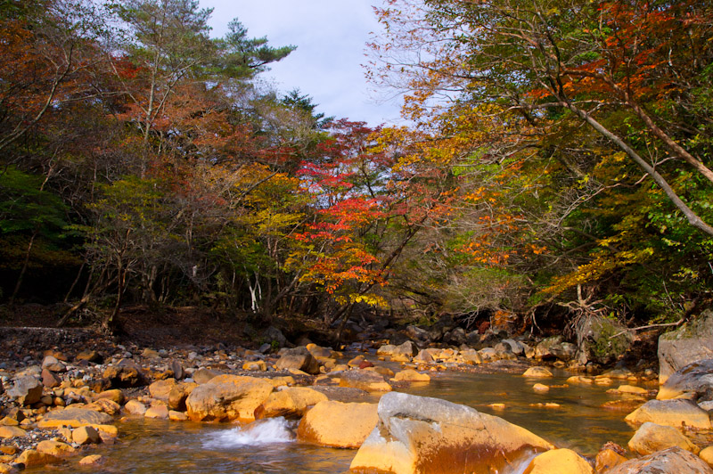 新湯林道_f0177177_2201583.jpg